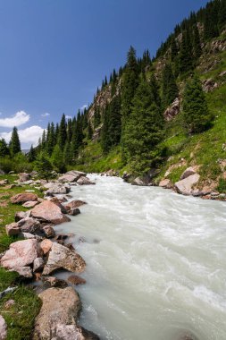 Kırgızistan, Orta Asya 'daki Tianshan Dağları' nda nehir manzarası ve yüksek yaylalar