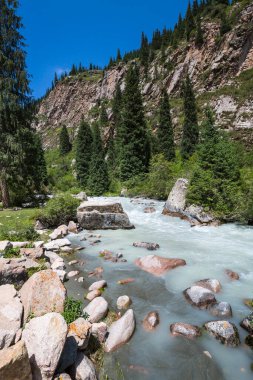 Kırgızistan, Orta Asya 'daki Tianshan Dağları' ndaki nehrin panoramik manzarası