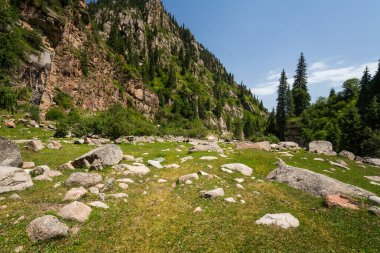 Kırgızistan 'daki Tianshan Dağları' nın panoramik manzarası