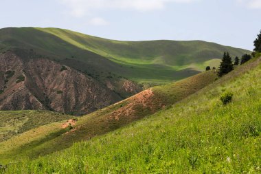 Kırgızistan, Orta Asya 'daki Tianshan Dağları' ndaki Karakol Geçidi 'nin panoramik manzarası