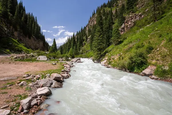 Kırgızistan, Orta Asya 'daki Tianshan Dağları' nda nehir manzarası ve yüksek yaylalar