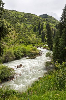 Altyn-Arashan is a high-mountain gorge in the eastern part of the Terskey-Ala-Too ridge, located near the city of Karakol in Kyrgyzstan clipart