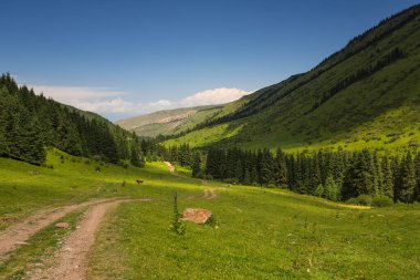 Karakol Vadisi, Kırgızistan 'ın Kırgızistan bölgesindeki en popüler turizm merkezlerinden biridir.