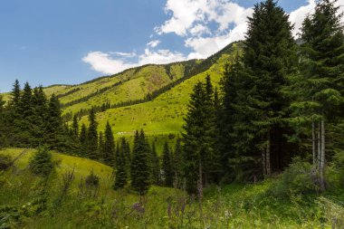 Karakol Vadisi, Kırgızistan 'ın Kırgızistan bölgesindeki en popüler turizm merkezlerinden biridir.