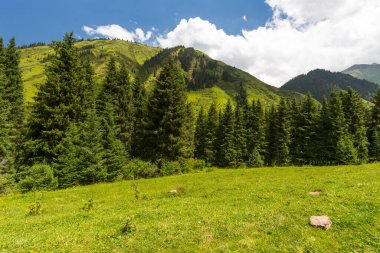 Karakol Vadisi, Kırgızistan 'ın Kırgızistan bölgesindeki en popüler turizm merkezlerinden biridir.