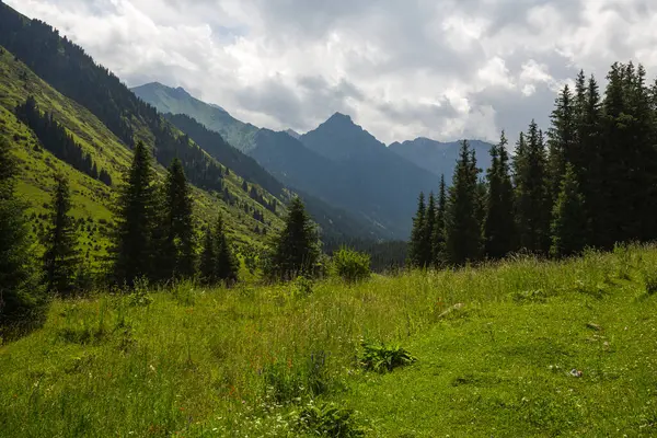 Karakol Vadisi, Kırgızistan 'ın Kırgızistan bölgesindeki en popüler turizm merkezlerinden biridir.
