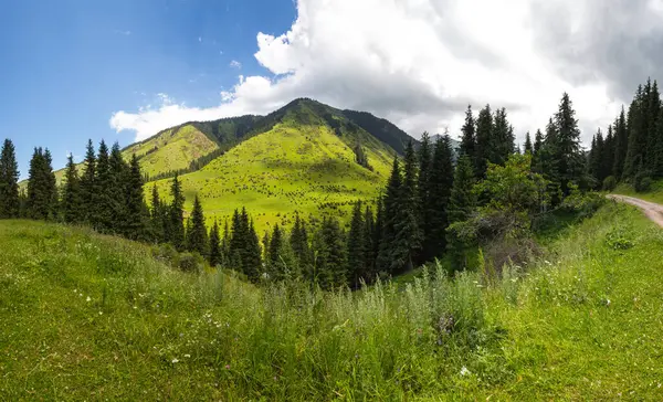 Karakol Vadisi, Kırgızistan 'ın Kırgızistan bölgesindeki en popüler turizm merkezlerinden biridir.