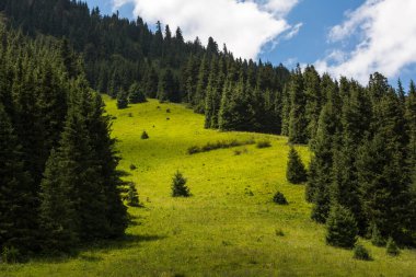 Karakol Vadisi, Kırgızistan 'ın Kırgızistan bölgesindeki en popüler turizm merkezlerinden biridir.