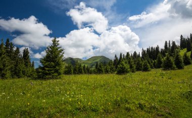 Terskey Ala-too Kırgızistan 'daki Tian Shan dağlarında bir sıradağdır.