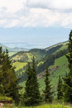 Terskey Ala-too Kırgızistan 'daki Tian Shan dağlarında bir sıradağdır.