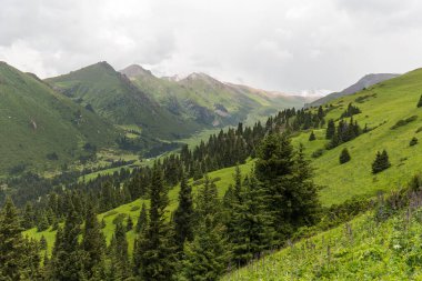 Terskey Ala-too Kırgızistan 'daki Tian Shan dağlarında bir sıradağdır.