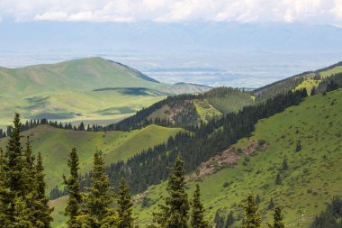 Terskey Ala-too Kırgızistan 'daki Tian Shan dağlarında bir sıradağdır.