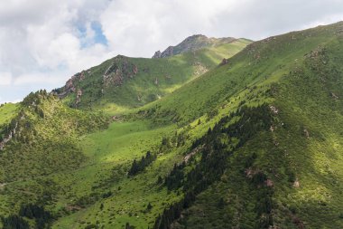 Terskey Ala-too Kırgızistan 'daki Tian Shan dağlarında bir sıradağdır.