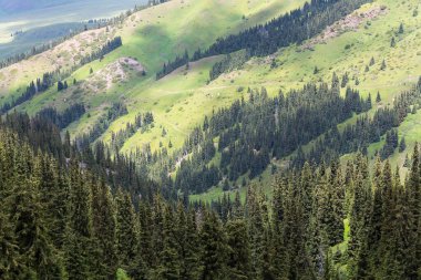 Terskey Ala-too Kırgızistan 'daki Tian Shan dağlarında bir sıradağdır.