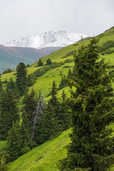 Terskey Ala-too Kırgızistan 'daki Tian Shan dağlarında bir sıradağdır.