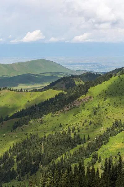 Terskey Ala-too Kırgızistan 'daki Tian Shan dağlarında bir sıradağdır.