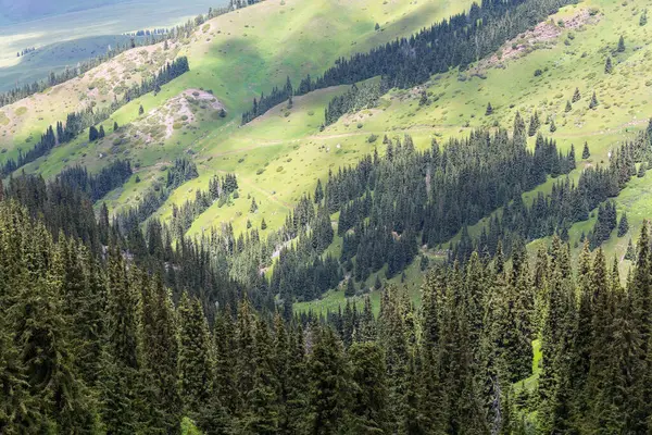 Terskey Ala-too Kırgızistan 'daki Tian Shan dağlarında bir sıradağdır.
