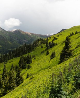 Terskey Ala-too Kırgızistan 'daki Tian Shan dağlarında bir sıradağdır.