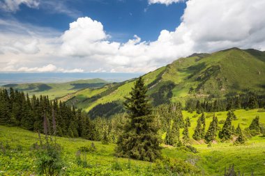 Terskey Ala-too Kırgızistan 'daki Tian Shan dağlarında bir sıradağdır.