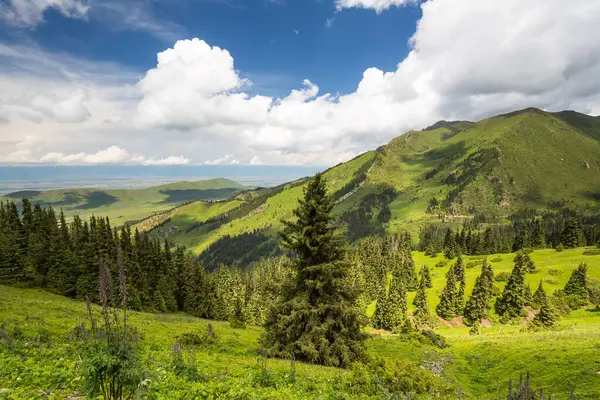 Terskey Ala-too Kırgızistan 'daki Tian Shan dağlarında bir sıradağdır.