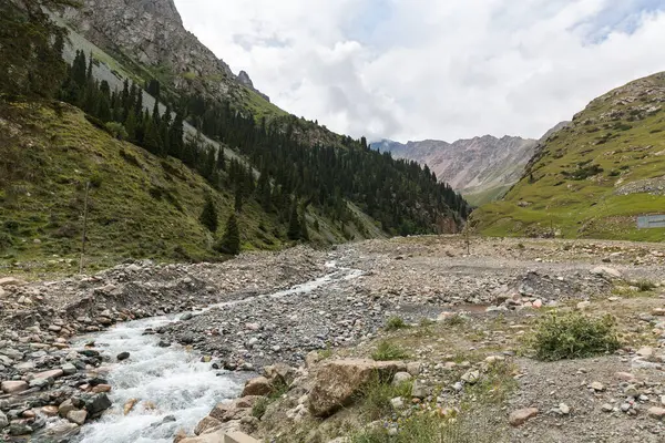 Barskoon Vadisi Kırgızistan 'da bulunan pitoresk vadilerden biridir. Vadi Ala-Too dağ sisteminin bir parçasıdır.