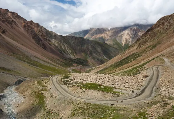 Barskoon Vadisi Kırgızistan 'da bulunan pitoresk vadilerden biridir. Vadi Ala-Too dağ sisteminin bir parçasıdır.