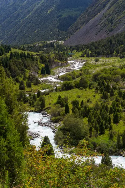 Ala-Archa Doğa Parkı Kırgızistan 'ın Tian Shan dağlarında bulunan bir ulusal parktır.