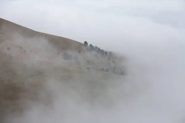 Rusya 'daki Karachay-Çerkesya Cumhuriyeti' nde bulutlarla kaplı dağ yamacının panoramik manzarası