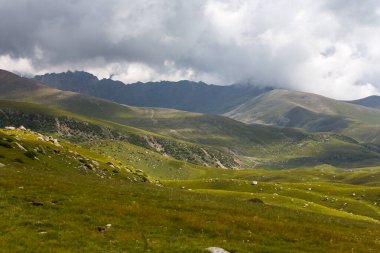 Kırgızistan, Orta Asya 'daki Tianshan Dağlarının panoramik manzarası