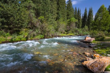 Kırgızistan, Orta Asya 'daki Tianshan Dağları' ndaki nehrin manzarası
