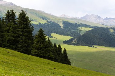 Kırgızistan, Orta Asya 'daki Tianshan Dağlarının panoramik manzarası