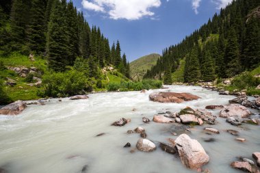 Kırgızistan, Orta Asya 'daki Tianshan Dağları' ndaki nehrin manzarası
