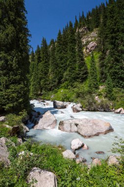 Kırgızistan, Orta Asya 'daki Tianshan Dağları' ndaki nehrin manzarası