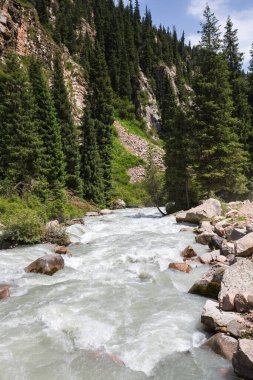 Kırgızistan, Orta Asya 'daki Tianshan Dağları' ndaki nehrin manzarası