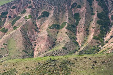 Kırgızistan, Orta Asya 'daki Tianshan Dağları' ndaki Karakol Geçidi 'nin panoramik manzarası