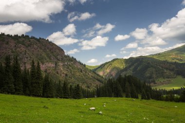 Dağ vadisi Djety-Oğuz (Kırgız dilinde 