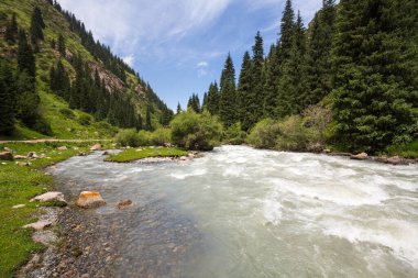 Kırgızistan, Tian Shan 'da yüksek bir dağ geçidi olan Altyn Arashan' daki nehrin manzarası.
