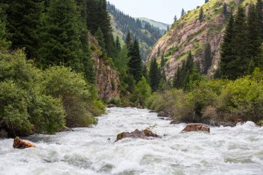 Kırgızistan, Tian Shan 'da yüksek bir dağ geçidi olan Altyn Arashan' daki nehrin manzarası.