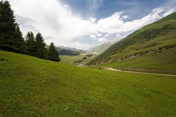 Kırgızistan, Orta Asya 'daki Tianshan Dağlarının panoramik manzarası