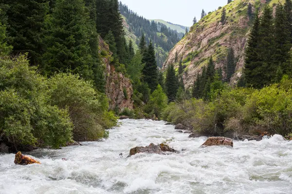 Kırgızistan, Tian Shan 'da yüksek bir dağ geçidi olan Altyn Arashan' daki nehrin manzarası.