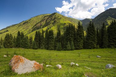 Karakol Vadisi, Kırgızistan 'ın Kırgızistan bölgesindeki en popüler turizm merkezlerinden biridir.