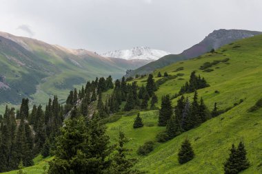 Terskey Ala-too Kırgızistan 'daki Tian Shan dağlarında bir sıradağdır.