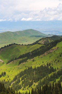 Terskey Ala-too Kırgızistan 'daki Tian Shan dağlarında bir sıradağdır.