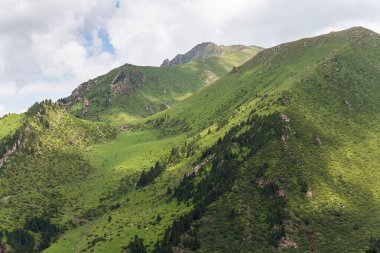 Terskey Ala-too Kırgızistan 'daki Tian Shan dağlarında bir sıradağdır.