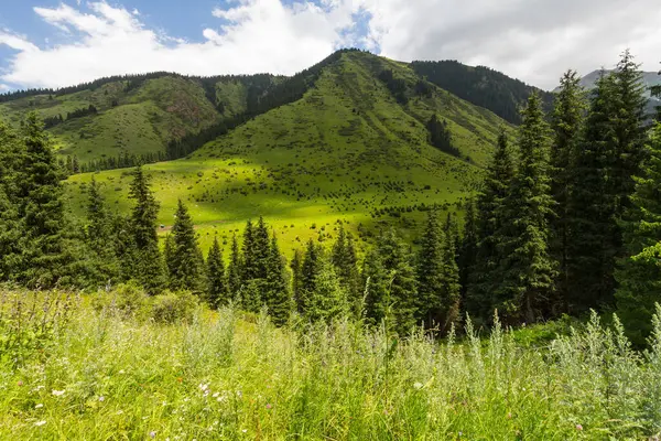 Karakol Vadisi, Kırgızistan 'ın Kırgızistan bölgesindeki en popüler turizm merkezlerinden biridir.