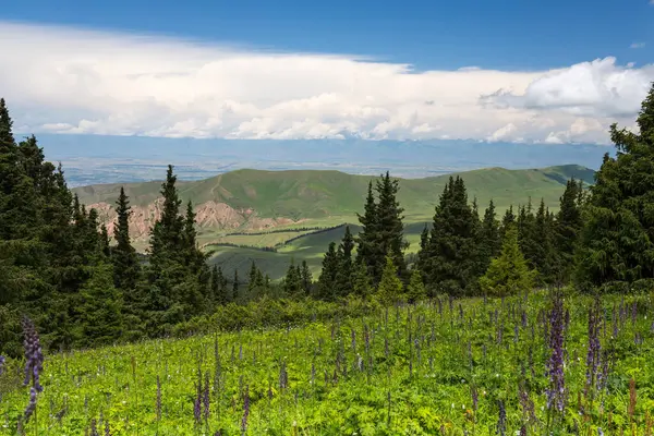 Terskey Ala-too Kırgızistan 'daki Tian Shan dağlarında bir sıradağdır.