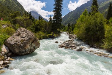 Ala-Archa Doğa Parkı Kırgızistan 'ın Tian Shan dağlarında bulunan bir ulusal parktır.