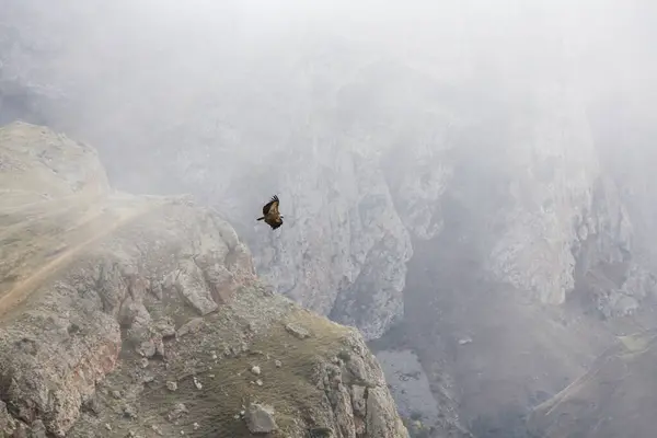 Rusya 'nın Kabardino-Balkaria Cumhuriyeti' nde bulutlarla kaplı Uçan Kartal ve Kafkasya dağlarının panoramik manzarası