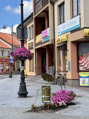 Street view of Biskupiec, Poland. Vibrant pink flowers adorn hanging baskets attached to traditional black lampposts. A whimsical metal sculpture of a dog with an umbrella stands amidst flowerbeds.  clipart