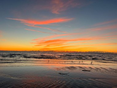 Baltık deniz batımı, Palanga, Litvanya 